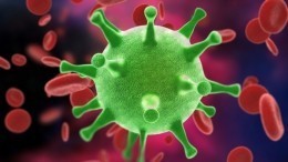 В посольстве КНР ответили на заявление США о происхождении коронавируса