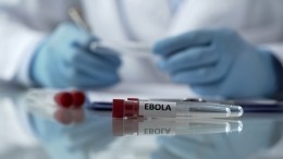 Вирусолог оценил риск эпидемии лихорадки Эбола в России