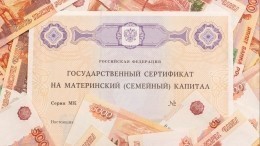 Схему с обналичиванием материнского капитала раскрыли в Петербурге