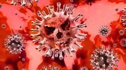 В ВОЗ оценили возможность наступления третьей волны пандемии коронавируса