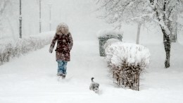 В Керчи и Крыму из-за снегопада вводится режим ЧС