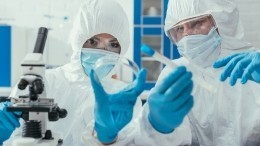 Австрийские ученые сообщили о сроках сохранения иммунитета к COVID-19