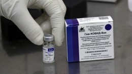 Словакия получила первую партию вакцины «Спутник V» без одобрения Евросоюза