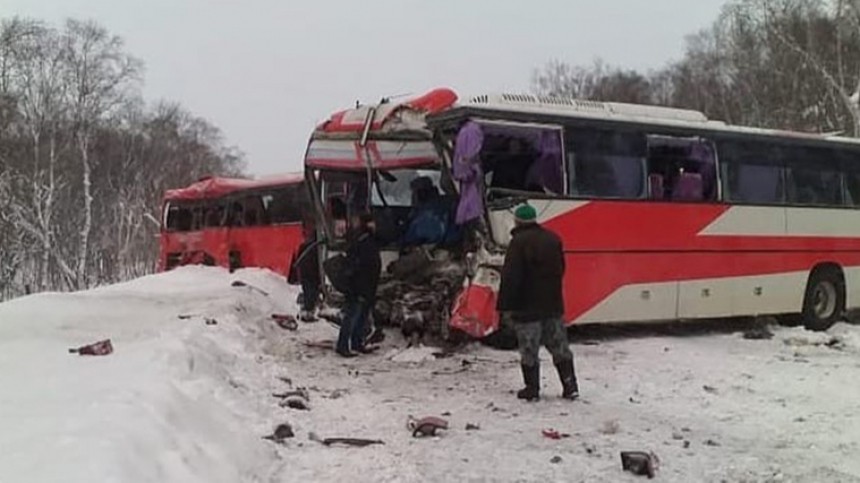 Два человека погибли, восемь пострадали в ДТП с автобусами на Камчатке