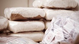 В Бельгии изъяли 17 тонн кокаина в ходе одной из крупнейших операций в стране