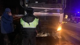 Трое взрослых и двое детей погибли в ДТП с грузовиком в Свердловской области
