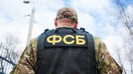 ФСБ: В Геленджике и Ярославле задержали 14 участников украинского радикального сообщества