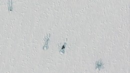 Проломившую лед в Арктике российскую подлодку сняли со спутника — фото