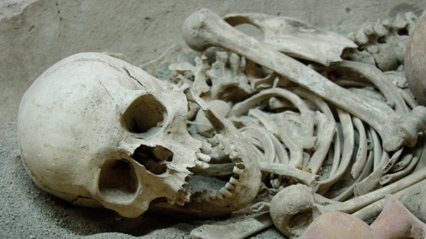 Свалку человеческих останков обнаружили в Иркутске