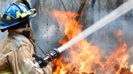 Ранняя весна ускорила начало пожароопасного сезона в РФ
