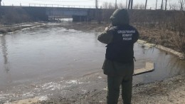 Пошел за мячом и утонул: Видео с места гибели шестилетнего новосибирца в реке Обь