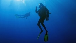 Что скрывает синее море: поразительные находки обнаружены на дне Кольского залива