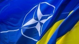 Украинский посол возложил ответственность за вступление страны в НАТО на ФРГ