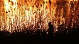 Особый противопожарный режим: пал сухой травы угрожает городам и деревням в РФ
