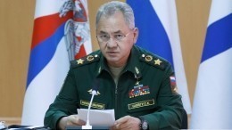 Быть в боевой готовности: Шойгу дал указания по контролю за учениями НАТО