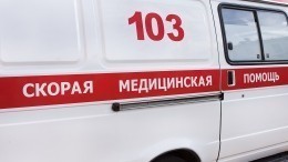 Шестеро детей погибли в ДТП с КАМАЗом и микроавтобусом на Ставрополье