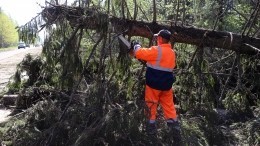 Летающие крыши, погнутые кресты: серия ураганов пронеслась по России