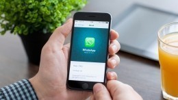 В Госдуме считают, что WhatsApp нарушает права российских пользователей