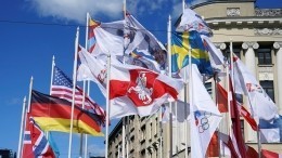 В Госдуме отреагировали на замену флага России на ЧМ по хоккею в Риге