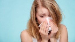 Эпидемия аллергии началась в России. С чем это связано?