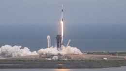 Светящиеся кальмары и тонны продовольствия: Falcon 9 стартовал к МКС