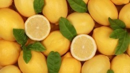 ТОП-5 лайфхаков с лимоном — избавляемся от комаров и неприятного запаха