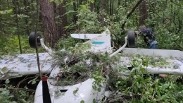 Видео с места жесткой посадки самолета под Москвой