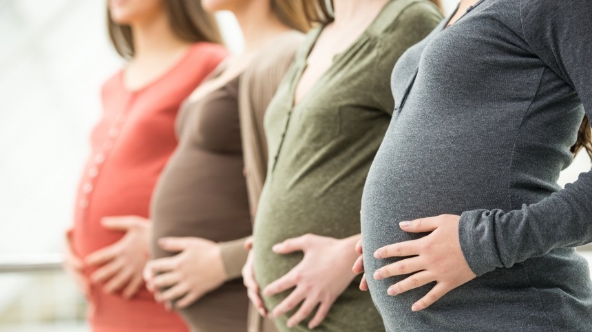 Прием заявлений на новые пособия беременным и родителям-одиночкам открыт