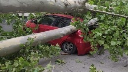 В столице Абхазии устраняют последствия мощного урагана — видео