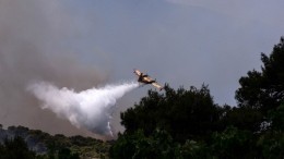 Жертвами пожара в горном районе Кипра стали четыре человека