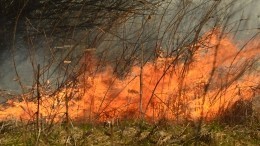 Огненный вихрь пронесся по степям Оренбургской области — видео