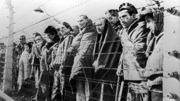 В Пскове прокуратура просит суд признать геноцидом вновь выявленные зверства нацистов