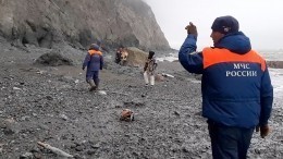 Спасатели нашли фрагменты тел всех погибших при крушении Ан-26 на Камчатке