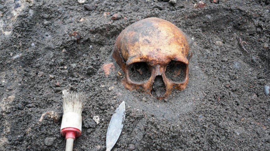 Человеческие останки обнаружили в озере Новгородской области