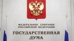 Новые люди: в чем главная задача малых партий в Госдуме РФ