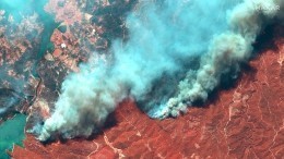 Появилось видео возможного поджога травы в Турции перед началом лесных пожаров