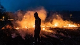 Ответственность за поджоги лесов в Турции взяла террористическая организация