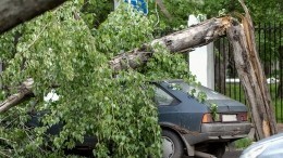 Три человека погибли и 15 пострадали в результате урагана в Тверской области