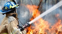 Самый юный волонтер помогал тушить лесные пожары в Карелии