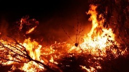 Жители Якутии второй день не видят солнца из-за лесных пожаров