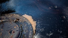 По факту разлива нефти в районе Новороссийска возбуждено уголовное дело