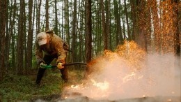 В Якутии наращивают группировку для борьбы с лесными пожарами