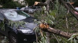 Суперураган срывает крыши домов, рушит стены и валит деревья в Москве