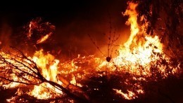 Лесной пожар угрожает двум поселкам в Республике Марий Эл