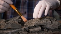 Украинец пытался вывезти 84 древних артефакта из Крыма и был пойман