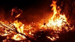 Водой из ведер спасли от огня деревню под Первоуральском