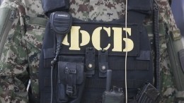 Задержанные в Ингушетии сторонники ИГ* планировали нападения на полицейских