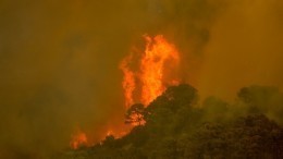 Сотни человек эвакуировали из-за сильного природного пожара на юге Испании
