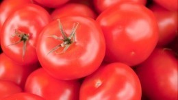 Врач-кардиолог из США порекомендовал забыть помидоры как страшный сон