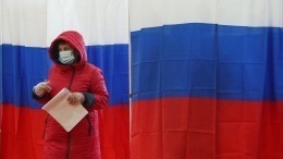 Политолог Чеснаков заявил о триумфе дистанционного электронного голосования